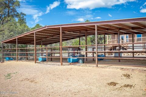 3359 Apache Dr, Overgaard, AZ 85933 photo 18