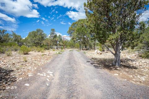 3359 Apache Dr, Overgaard, AZ 85933 photo 36