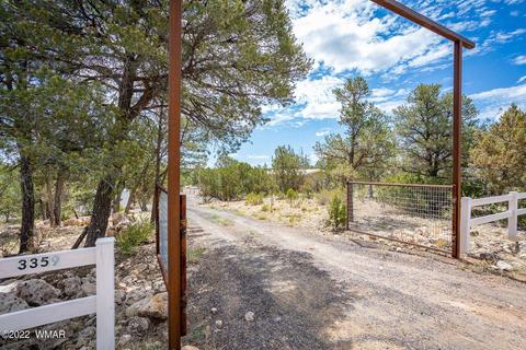 3359 Apache Dr, Overgaard, AZ 85933 photo 30