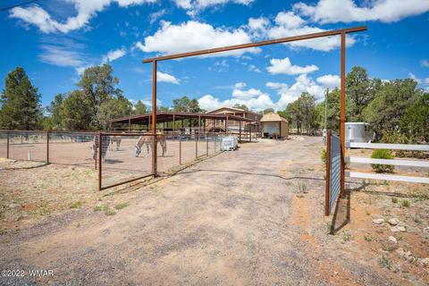 3359 Apache Dr, Overgaard, AZ 85933 photo 28