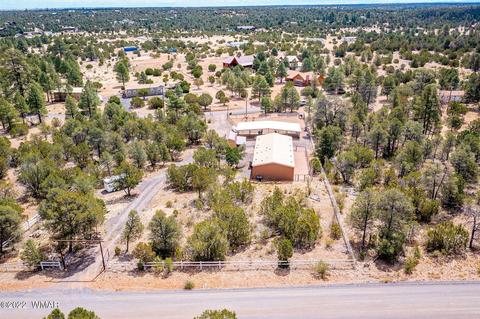 3359 Apache Dr, Overgaard, AZ 85933 photo 35