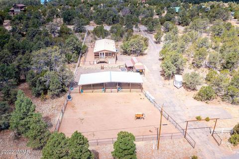 3359 Apache Dr, Overgaard, AZ 85933 photo 22