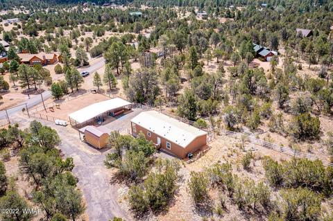 3359 Apache Dr, Overgaard, AZ 85933 photo 39