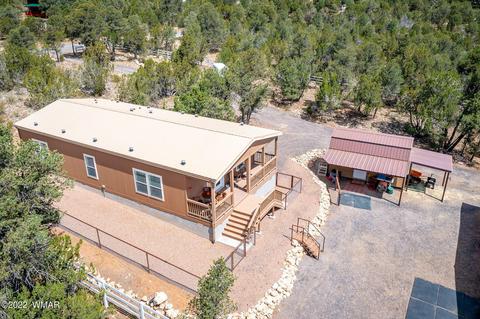 3359 Apache Dr, Overgaard, AZ 85933 photo 33