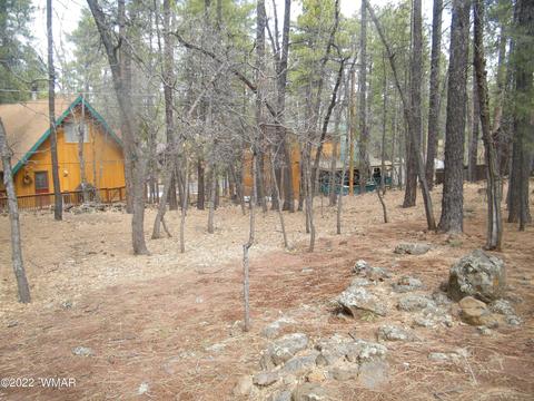 5971 Concho Cir, Pinetop, AZ 85935