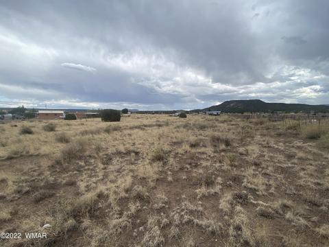 6 County Road N4070, Springerville, AZ 85938