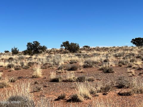 5112 Old Snowflake-woodruff Rd, Snowflake, AZ 85937