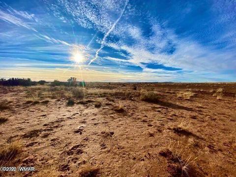 7570 Maple Ln, Snowflake, AZ 85937 photo 5