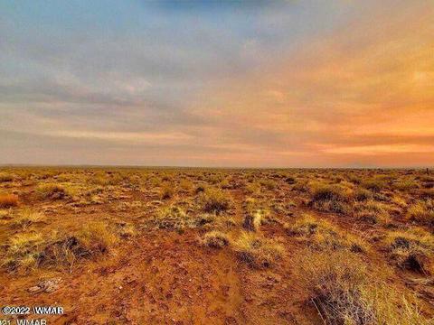 7570 Maple Ln, Snowflake, AZ 85937 photo 3