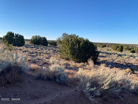 lot230 Red Sky Rnch, Saint Johns, AZ 85936