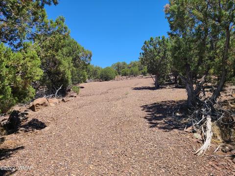 Tbd 342 Cr 8976, Concho, AZ 85924