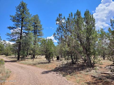 3054 State Route 277, Overgaard, AZ 85933 photo 1