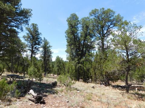 1919 Elk Rd, Heber, AZ 85928