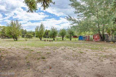 351 W School Bus Rd, Eagar, AZ 85925 photo 24
