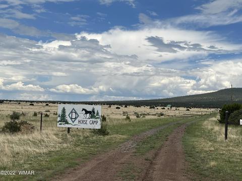 Tract B Tbd, Nutrioso, AZ 85932