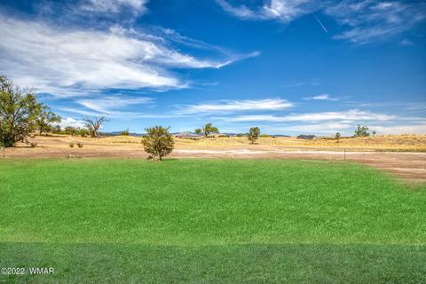 331 Bogey Dr, Eagar, AZ 85925 photo 46