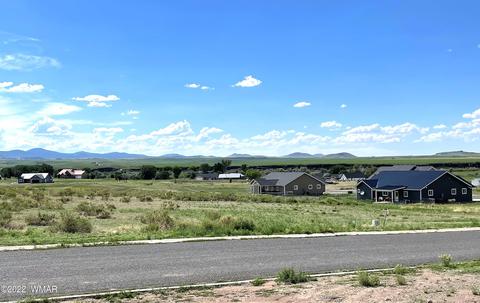 331 Bogey Dr, Eagar, AZ 85925 photo 14