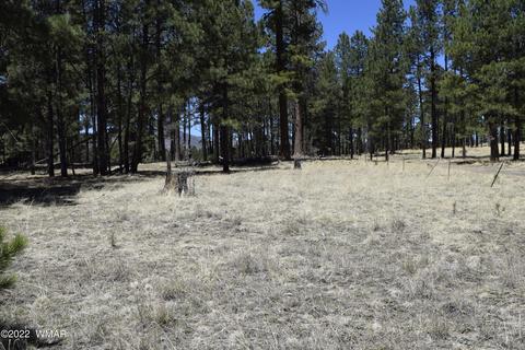 tbd County Rd, Alpine, AZ 85920 photo 3