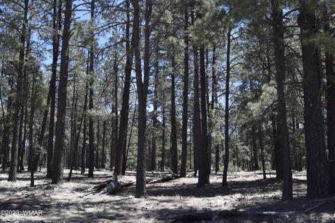 Tbd County Road, Alpine, AZ 85920