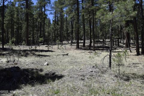tbd County Rd, Alpine, AZ 85920 photo 2