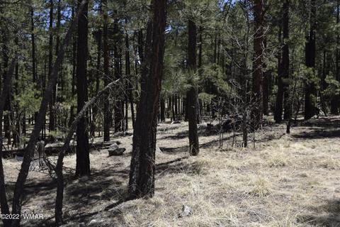 tbd County Rd, Alpine, AZ 85920 photo 4
