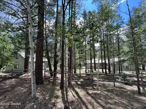 2 County Road 2044, Alpine, AZ 85920