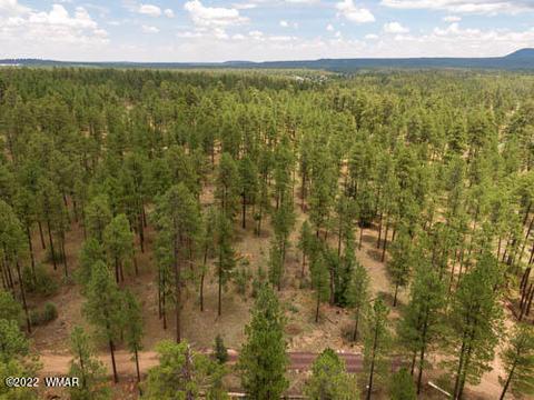 tbd 3 Acres Off Wyoming Ln, Lakeside, AZ 85929