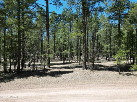 11 County Rd, Alpine, AZ 85920 photo 10