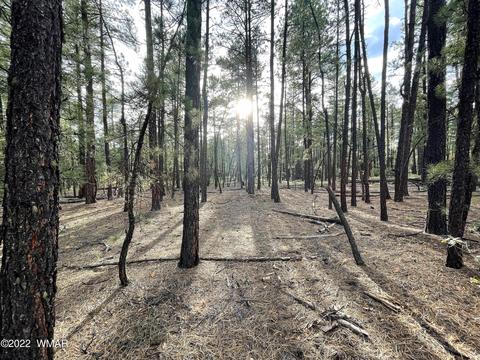11 County Rd, Alpine, AZ 85920 photo 7