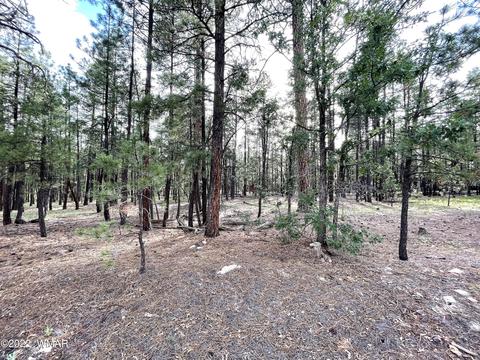 11 County Rd, Alpine, AZ 85920 photo 4