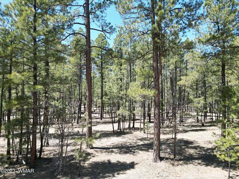 11 County Rd, Alpine, AZ 85920 photo 3
