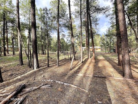 11 County Rd, Alpine, AZ 85920 photo 8