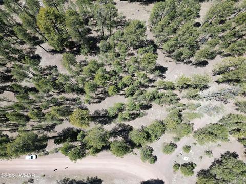 11 County Rd, Alpine, AZ 85920 photo 12
