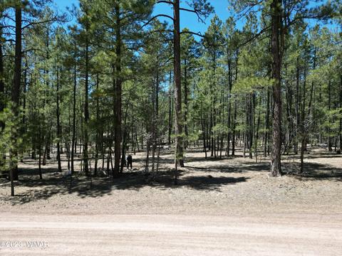 11 County Rd, Alpine, AZ 85920 photo 11