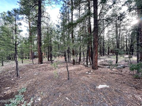 11 County Rd, Alpine, AZ 85920 photo 5