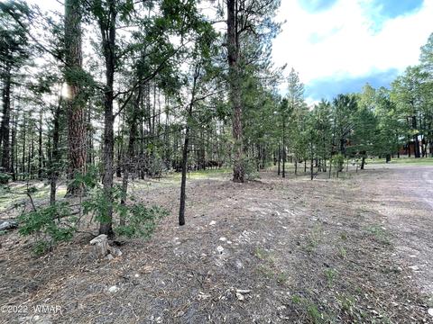 11 County Rd, Alpine, AZ 85920 photo 6