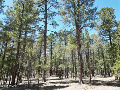 11 County Rd, Alpine, AZ 85920 photo 2