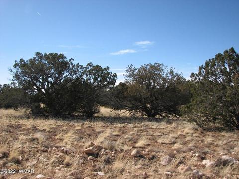 lot507 Ccr UNIT 3, Heber, AZ 85928