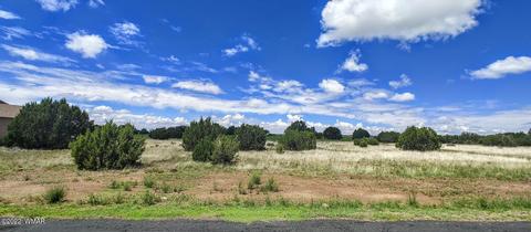 8410 Lake View Dr, Show Low, AZ 85901