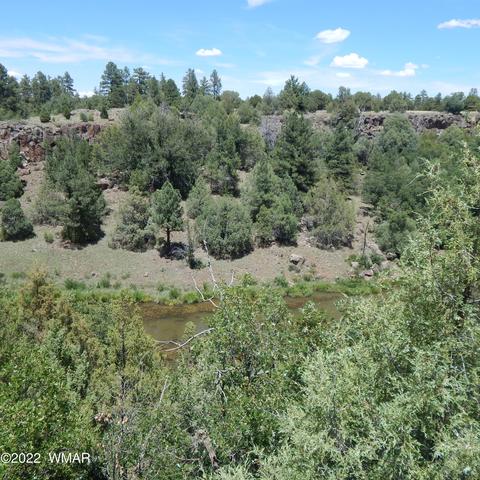 2751 S Hidden Oaks Dr, Show Low, AZ 85901
