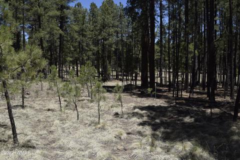 61 County Rd, Alpine, AZ 85920
