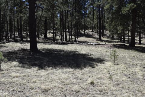 61 County Rd, Alpine, AZ 85920 photo 4
