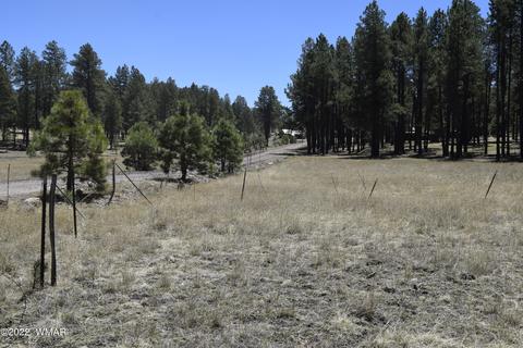 61 County Rd, Alpine, AZ 85920 photo 3