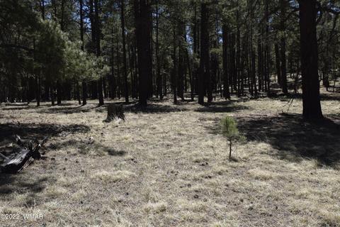 61 County Rd, Alpine, AZ 85920 photo 5