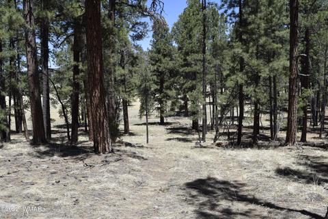 61 County Rd, Alpine, AZ 85920 photo 2