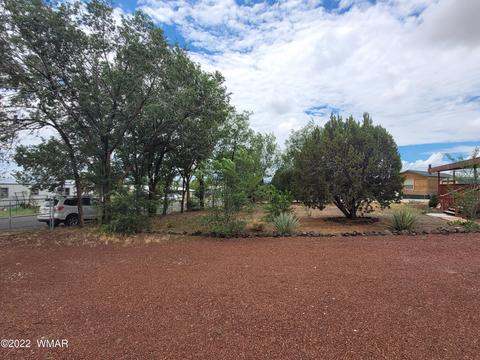 41 Evergreen Ln, Concho, AZ 85924 photo 42