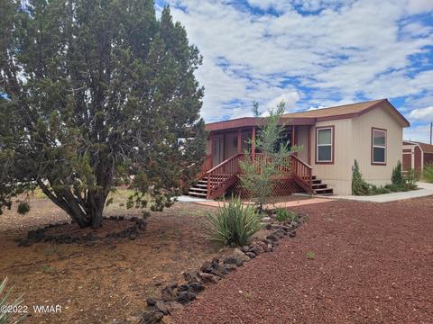 41 Evergreen Ln, Concho, AZ 85924 photo 36