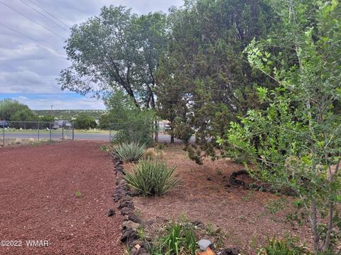 41 Evergreen Ln, Concho, AZ 85924 photo 35