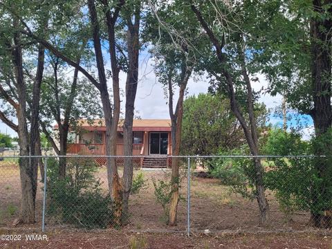 41 Evergreen Ln, Concho, AZ 85924 photo 4