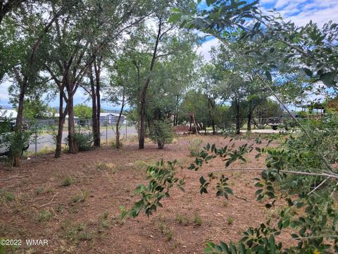 41 Evergreen Ln, Concho, AZ 85924 photo 37